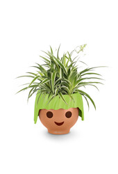 Spiderplant Ocean in Ojo Kids Pot