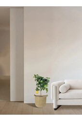 Citronnier dans un pot naturel Nelis