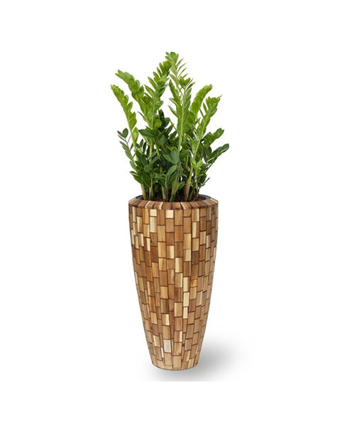 Facets Jenga | Zamioculcas
