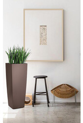 Sansevieria Cylinder Zelfwatergevende Alto