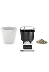 Kentia en pot Classico auto-irrigant