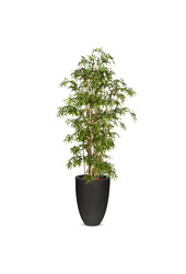 Kunstplant Bamboe in Tutch