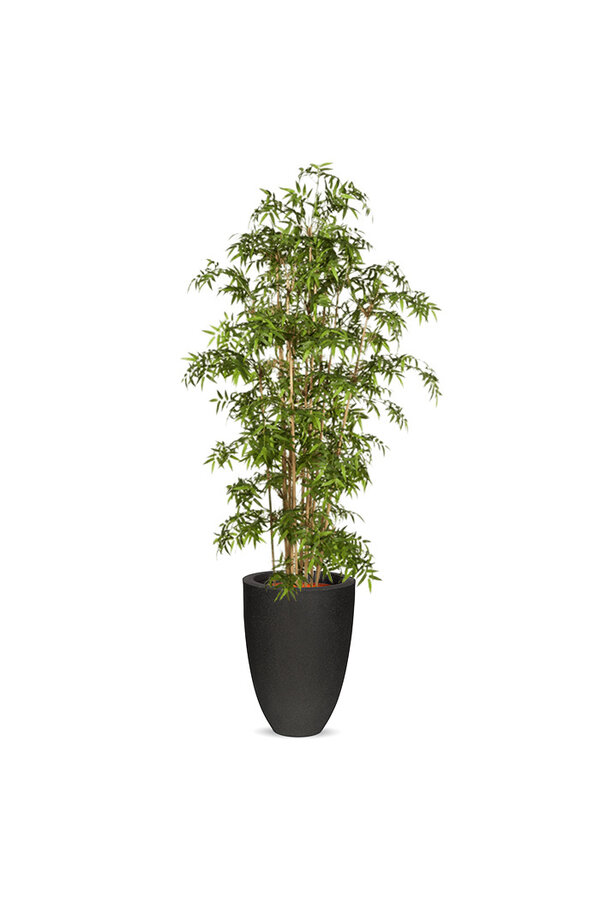 Kunstplant Bamboe in Tutch