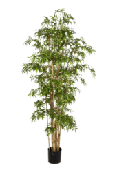 Plante artificielle Bambou en Dutch