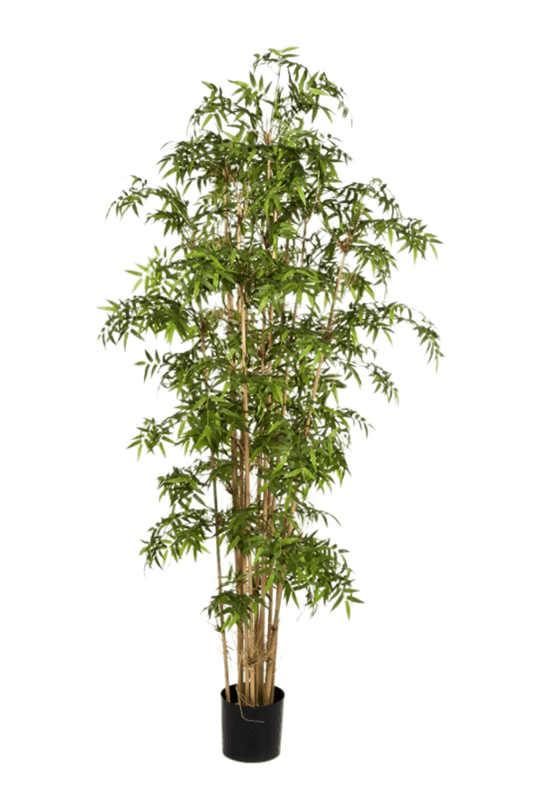 Plante artificielle Bambou en Dutch