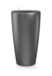 Palmier Areca en pot rond tout inclus