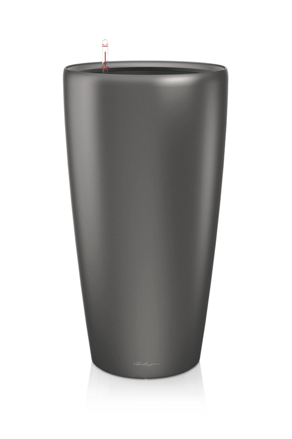 Palmier Areca en pot rond tout inclus