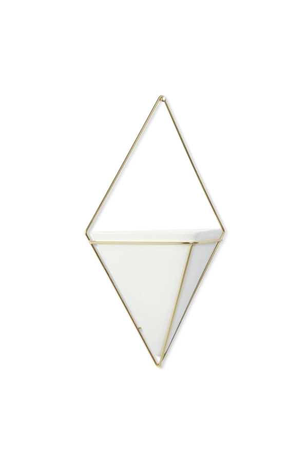 Trigg Large Wall Display