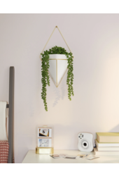 Trigg Large Wall Display