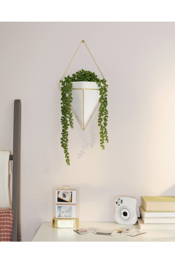 Trigg Large Wall Display
