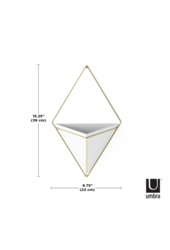 Trigg Grand Support Mural