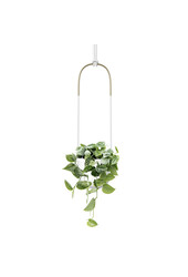 Pot de fleurs suspendu Bolo avec Scindapsus pictus