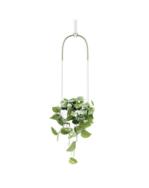 Umbra Pot de fleurs suspendu Bolo avec Scindapsus pictus