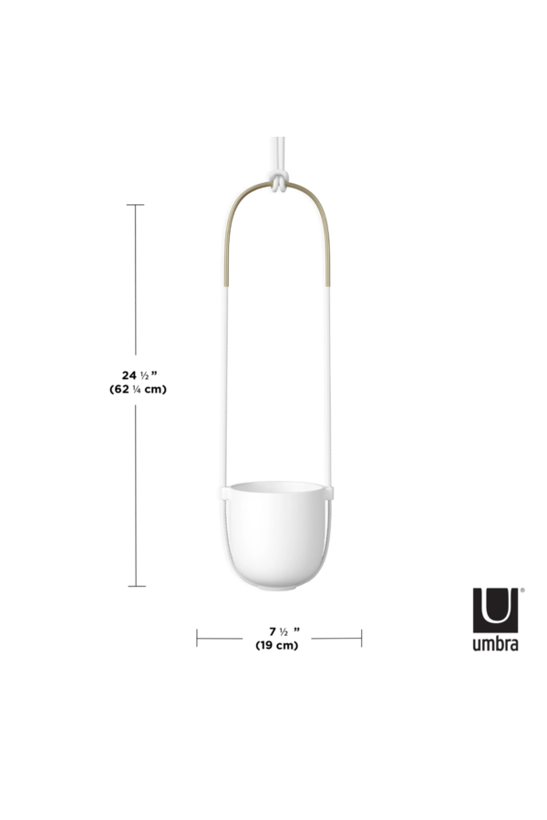 Pot de fleurs suspendu Bolo avec Scindapsus pictus