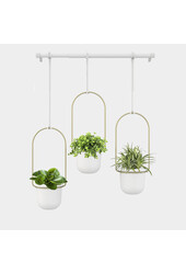 Triflora Pots de fleurs suspendus avec plantes grasses