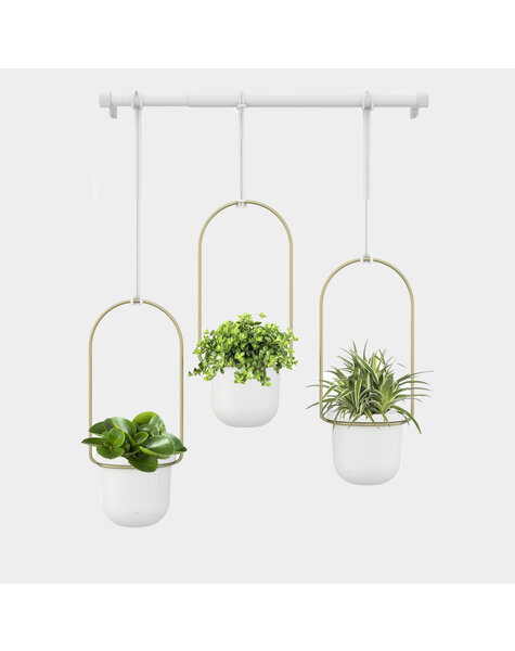 Umbra Triflora Hangende bloempotten met vetplanten