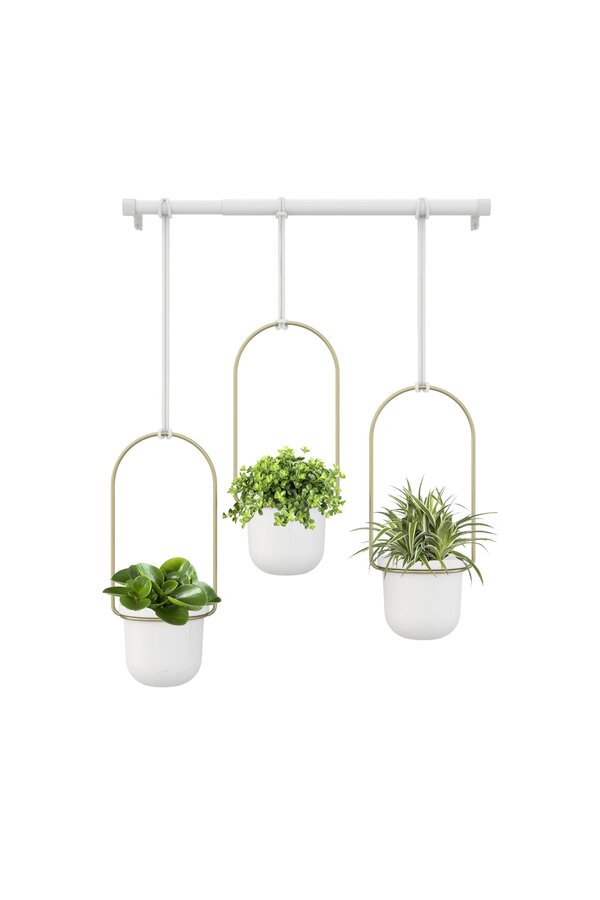 Triflora Pots de fleurs suspendus avec plantes grasses