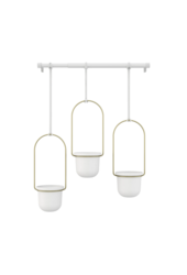 Triflora Pots de fleurs suspendus avec plantes grasses