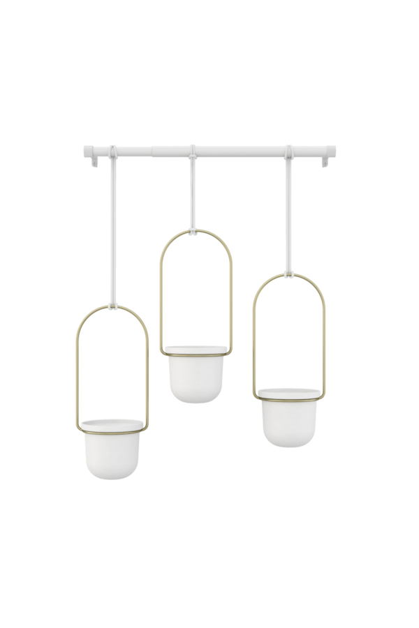 Triflora Pots de fleurs suspendus avec plantes grasses