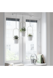 Triflora Pots de fleurs suspendus avec plantes grasses