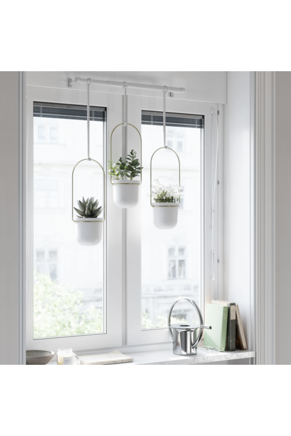 Triflora Pots de fleurs suspendus avec plantes grasses