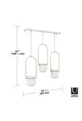 Triflora Pots de fleurs suspendus avec plantes grasses