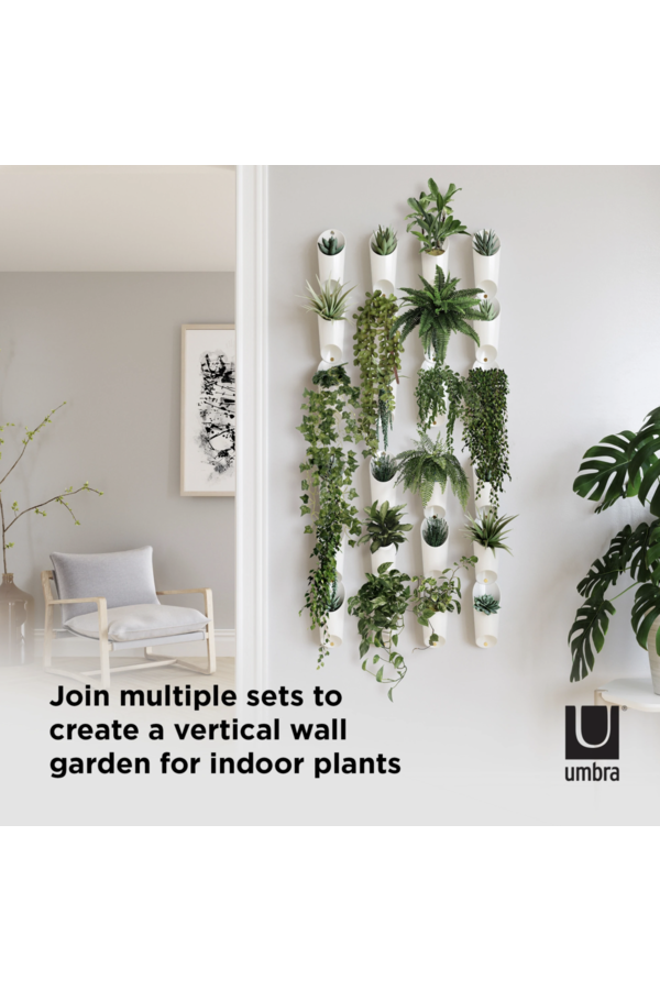 Floralink Wall Vessel