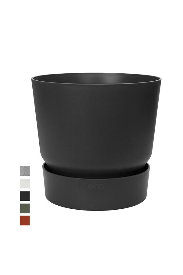 Greenville rond noir S