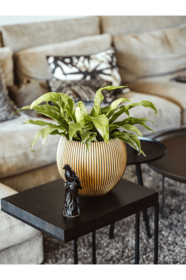 Boule d'Or Rainurée