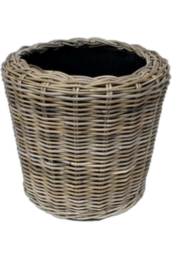 Drypot Rotan