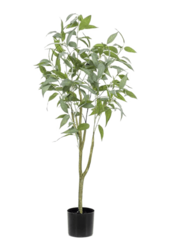 Plante artificielle Eucalyptus globulus