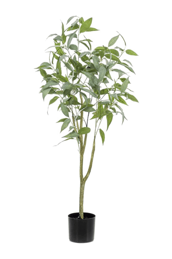 Plante artificielle Eucalyptus globulus