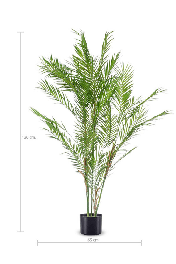 Palmier Chamaedorea plante artificielle L