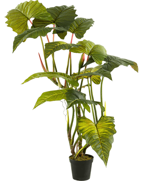 Plante artificielle
