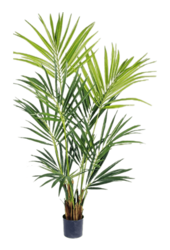 Plante artificielle Kentia Bush