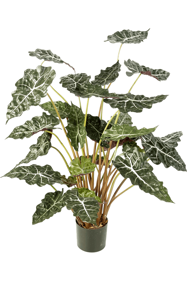 Plante artificielle Alocasia