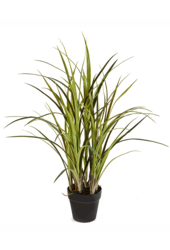 Plante artificielle Natural grass