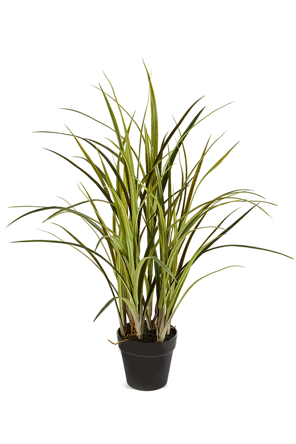 Natural grass kunstplant