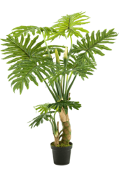 Philodendron L plante artificielle