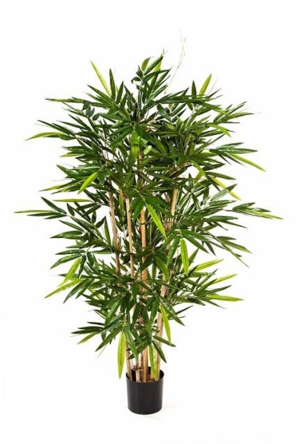 Plante artificielle bambou
