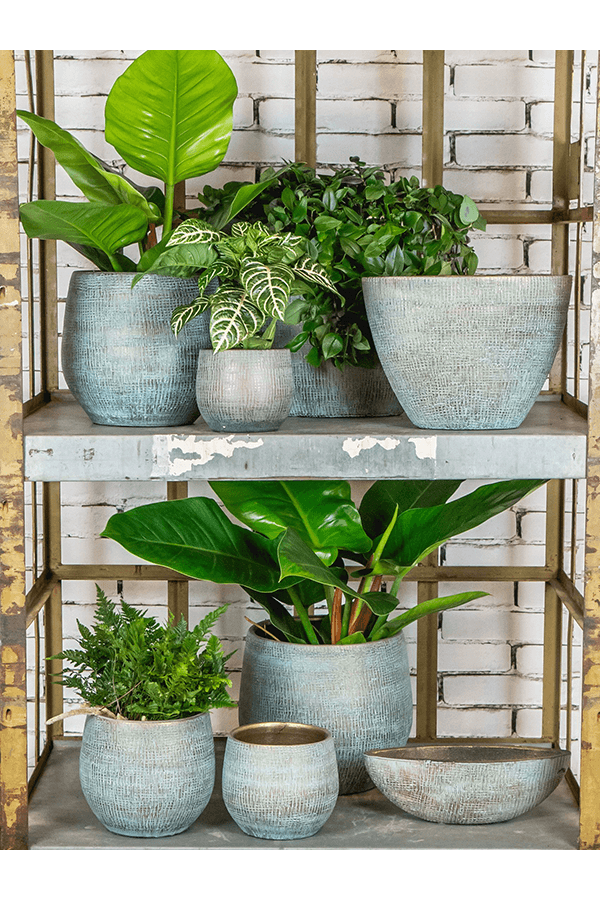 Pot Ryan Brillant Bleu