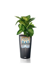 Kit de plantes en pots Lechuza Cilindro