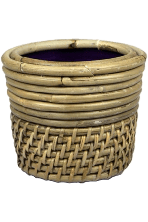 Rotan Pepper S