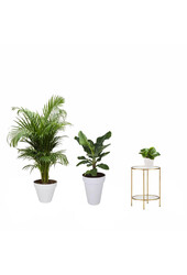 Kit de plantes Elho Urban