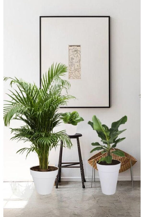 Kit de plantes Elho Urban