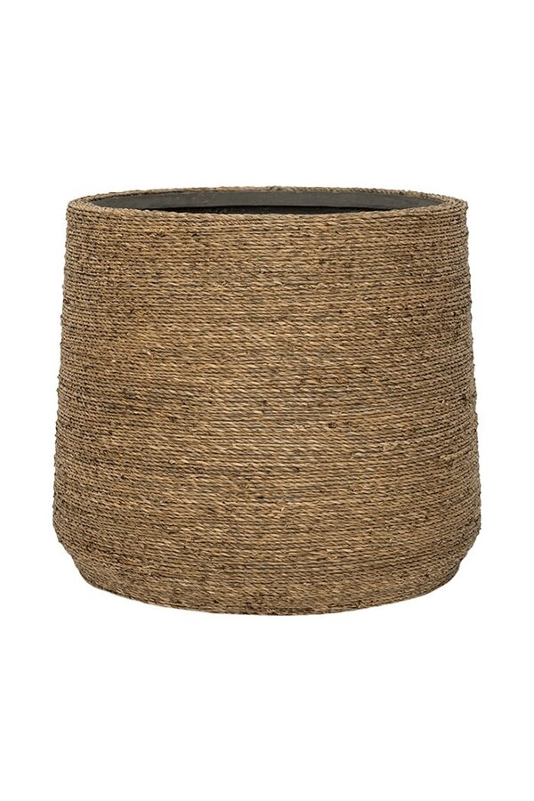 Bari Grass M