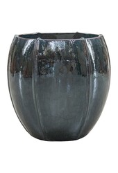 Ocean Blue Emperor XXL