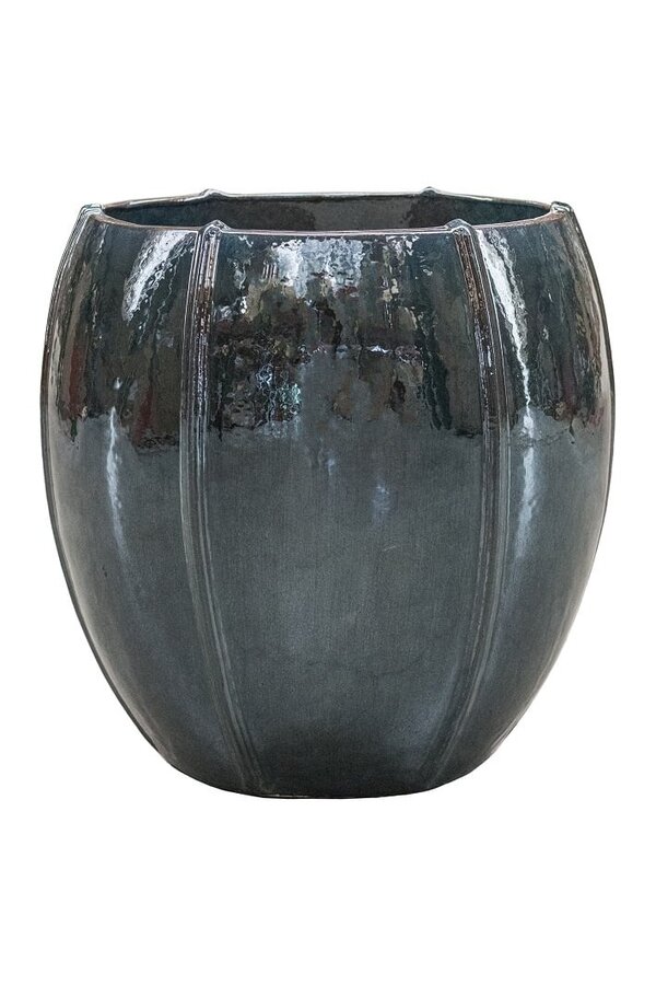 Ocean Blue Emperor XXL