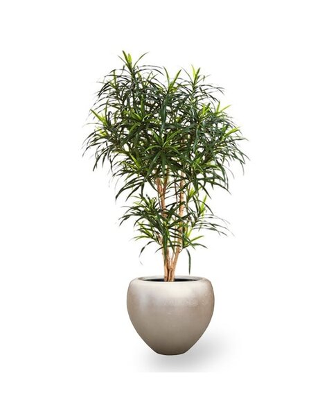 Kunstplant