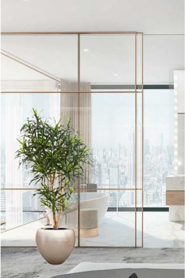 Kunstplant dracaena in Couple Champagne